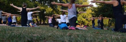 Women Performing Yoga on Green Grass Near Trees